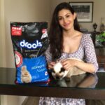 Amyra Dastur Instagram - Diwali is a festival that celebrates togetherness ♥️ But, we often forget about our furry friends. The homeless animals have nowhere to take shelter when loud fire crackers are bursting around them. #itsapromise to give shelter to these strays and protect them from loud noises, making this Diwali a joyous one for them one too. ♥️ Drools is doing their bit by working with pet welfare associations. Check out @droolsindia to find out more! . #Drools #feedrealfeedclean #itsapromise #dogfood #catfood #instalove #petcare #diwaligifts #diwali Mumbai, Maharashtra