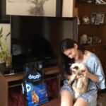 Amyra Dastur Instagram - Emma is my baby so I have to get the best for her which is why I choose @droolsindia that has real fish and no by products. I would request all the other cat parents to read the back of pack for ingredients before buying food for your baby and check that there are no by-products in it. 🐈🐈🐈🐈🐈🐈🐈🐈🐈🐈🐈 #drools #feedrealfeedclean #CatFood #catnutrition #realfish #cat #petcare #Pets #petsofinstagram #catlife #furryfriends #realnutrition