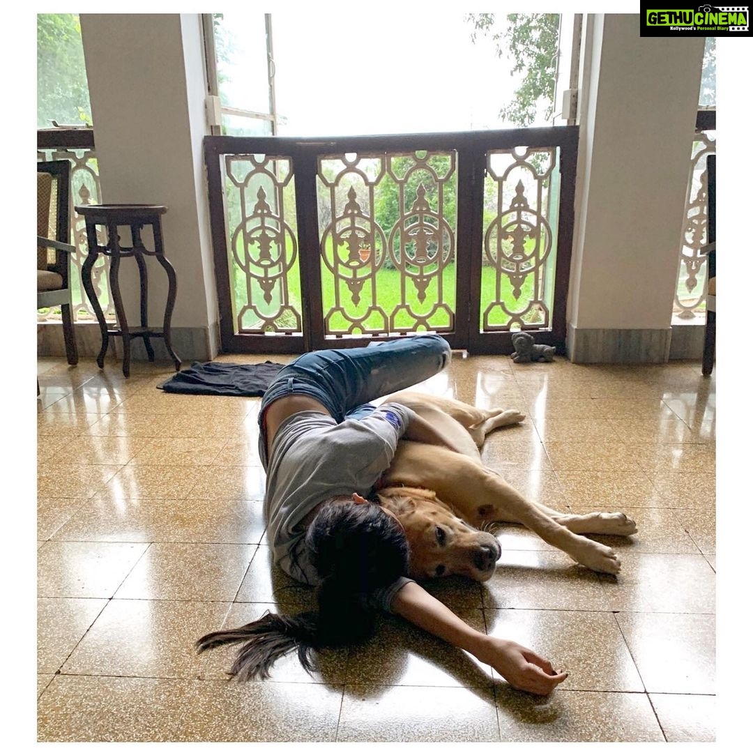 Amyra Dastur Instagram - Everyone is taught that Angels have wings but the lucky ones of us find that they actually have fur and four paws 🐾 #kinglouie 🐕 Lonavla, Maharashtra, India