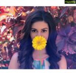 Amyra Dastur Instagram – May I grow so tall & bright,
So free & wild,
So brave and vibrant,
That when you see me standing, you think I’m a sunflower.
🌻🌻🌻🌻🌻🌻🌻🌻🌻🌻🌻🌻🌻🌻🌻 Mahabaleshvar, Maharashtra, India