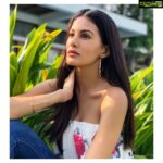 Amyra Dastur Instagram - “Explode with colour & grace, Waste no sunlight, no time in hiding. If you’re made to bloom, bloom.” - #tylerknottgregson 🌸 Kochi, India