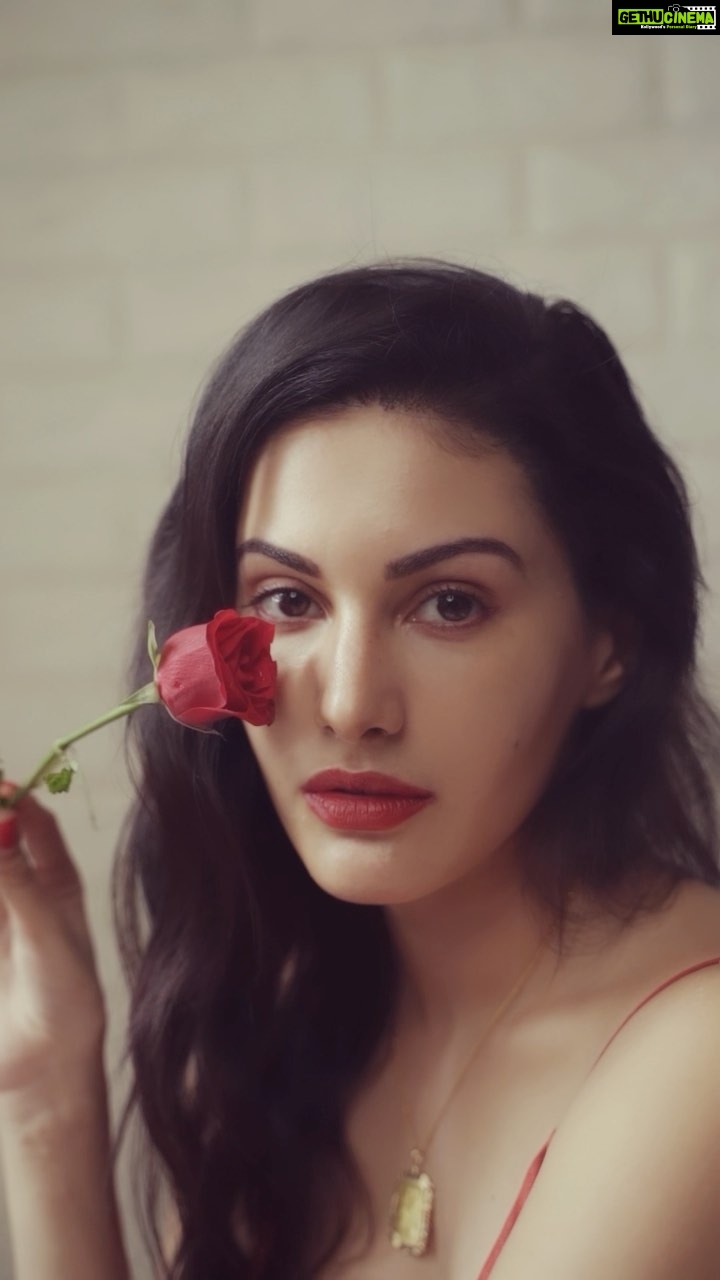 Amyra Dastur Instagram - 🌹 . . 📸 @dieppj