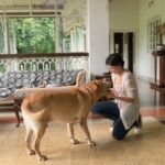 Amyra Dastur Instagram - The best kind of love 😁❤️🐶 #kinglouie 👑 . . #labrador #rescued ✨ #animallovers #adoptdontshop 💫 Khandala,Lonavala
