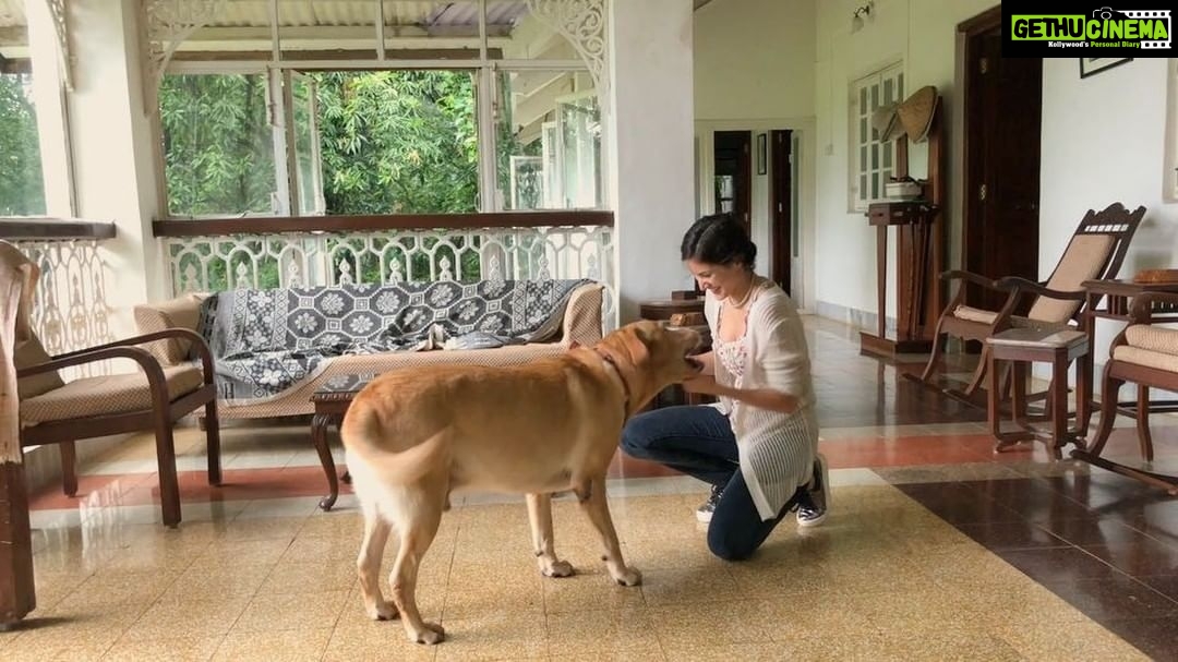 Amyra Dastur Instagram - The best kind of love 😁❤️🐶 #kinglouie 👑 . . #labrador #rescued ✨ #animallovers #adoptdontshop 💫 Khandala,Lonavala