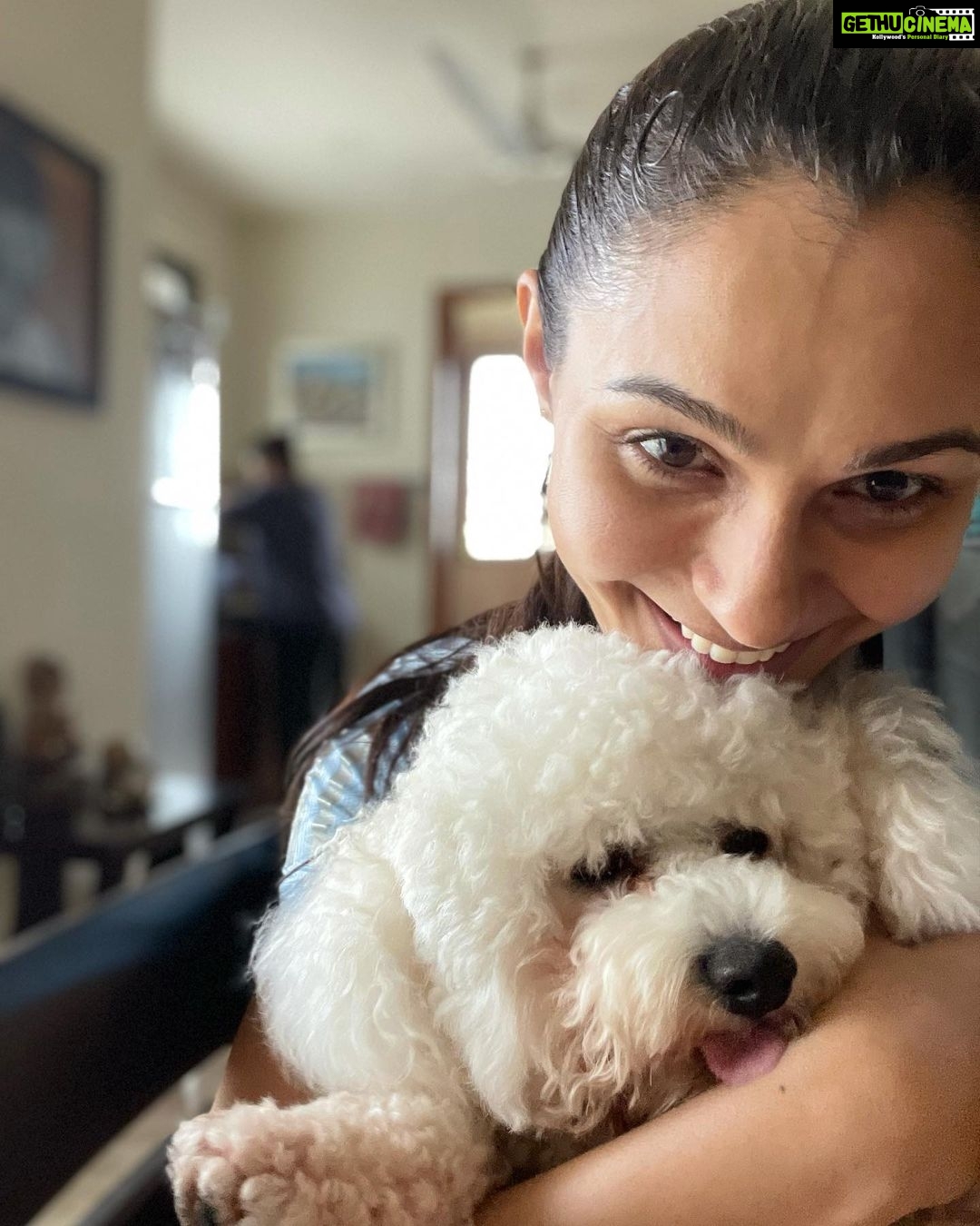 Andrea Jeremiah Instagram - Post gym morning #selfies with my baby boy @jonsnow.bichon who didn’t get much sleep last night thanks to crackers going off well past midnight 🤬🤬🤬 Yes, #diwali is a special time for us all, but also a scary time for pets, the old & the sick… So let’s be kind this Diwali 🙏🏻