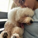 Andrea Jeremiah Instagram - Post gym morning #selfies with my baby boy @jonsnow.bichon who didn’t get much sleep last night thanks to crackers going off well past midnight 🤬🤬🤬 Yes, #diwali is a special time for us all, but also a scary time for pets, the old & the sick… So let’s be kind this Diwali 🙏🏻