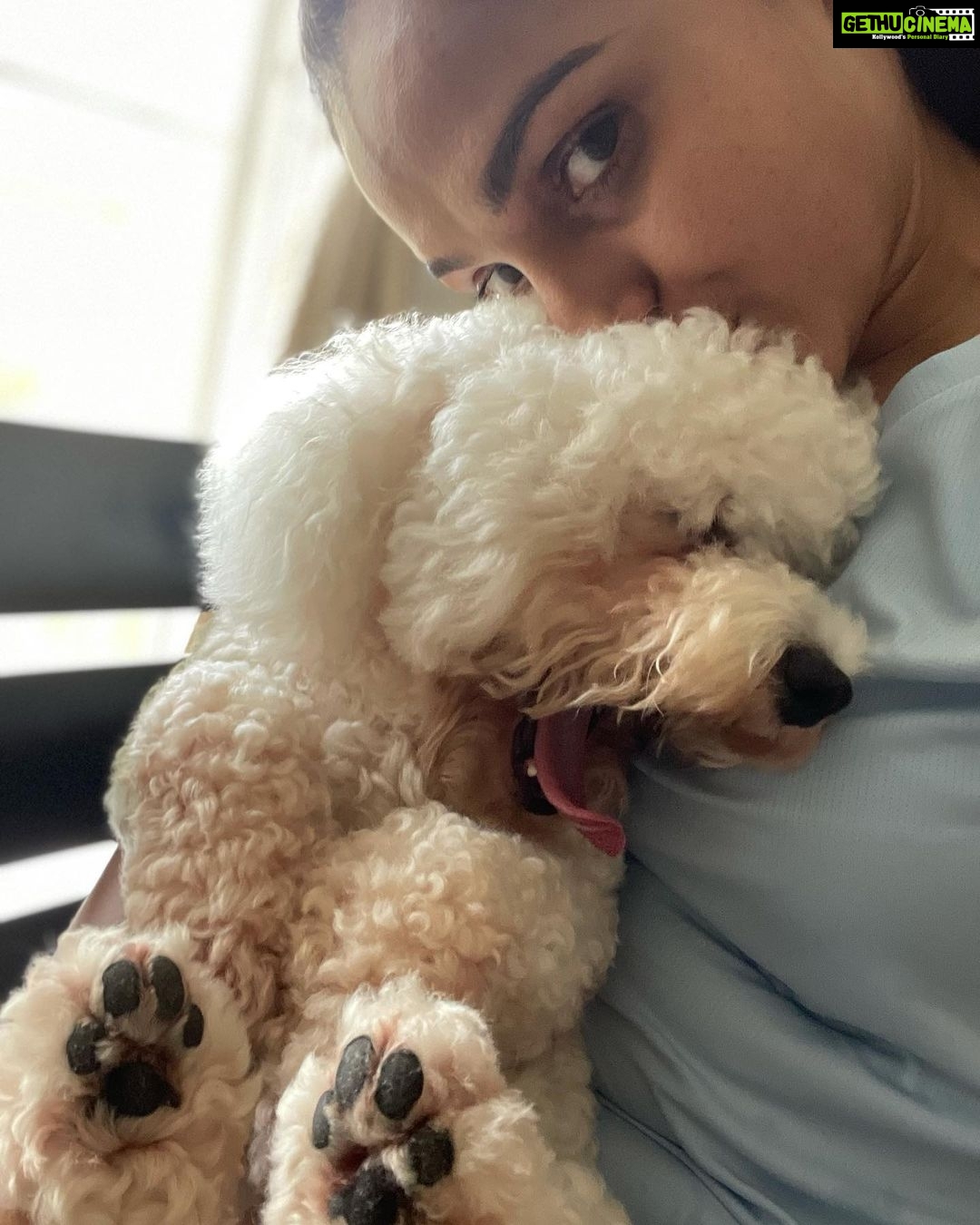 Andrea Jeremiah Instagram - Post gym morning #selfies with my baby boy @jonsnow.bichon who didn’t get much sleep last night thanks to crackers going off well past midnight 🤬🤬🤬 Yes, #diwali is a special time for us all, but also a scary time for pets, the old & the sick… So let’s be kind this Diwali 🙏🏻