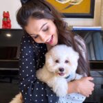 Andrea Jeremiah Instagram - Snow appreciation post 🐶❤️ Today marks a year of @jonsnow.bichon arriving in Chennai 🥰🥰🥰 Always thought of myself as a #goldenretriever gal & didn’t even know a breed called #bichonfrise existed until the #lockdown last year, when pics of an adorable Bichon kept popping up on my #instafeed 🥺 I had no idea how I was going to manage a pup on my own, but I took the plunge, and now here we are, celebrating a year of #snowinchennai ❄️🤍 @jonsnow.bichon has such a big personality for a little dog and he’s got all of us humans wrapped around his lil paws🐾 Happy one year anniversary @jonsnow.bichon 🥰🥰🥰 we luuurrrveee you ❤️❤️❤️❤️❤️
