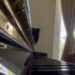 Andrea Jeremiah Instagram – Been ignoring my #piano for a while but finally sat down to practice my scales today 🎶🎹❤️ 

Video 1- C major in thirds 
 
Video 2- D major 
ascending/descending 

Video 3 – G minor in thirds 

Video 4- chromatic scale on F in sixths 

Video 5- A flat chromatic ascending/descending 

There are days when I play nothing but scales, it’s almost meditative and calms my mind… a great way to start the day 🌸