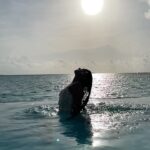 Andrea Jeremiah Instagram - Casual hair flip 🧜🏻‍♀️ @sunsiyamresorts @sunsiyamiruveli @pickyourtrail #maldives #getaway #travel