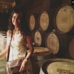 Anisha Victor Instagram - 🍇 Some fermented grape juice to get you through Monday 🍷 #throwback #Nashik #Grover #zampa #vinyard #wine #winery #maharashtra Grover Zampa Vineyards