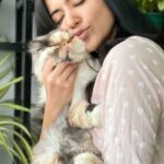 Anju Kurian Instagram - Her mind voice “I can feel it right here in my meow meow”. 😂❤️🥰 . . . . 📸- @faiza_jesweer