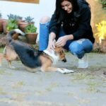 Anju Kurian Instagram - Always choose kindness🥰🙏! I wish I could take stray dogs to a place better than streets🐕❤️. . . . . 🎥- @_sooraj_appuz_