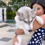 Anju Kurian Instagram – No gym membership?? 
Don’t worry, just be creative & use your doggo as weights 💪😆.

P.S : no dog was injured while filming this video.