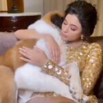 Anju Kurian Instagram – Squishy mood always! 😋 🐾
#stbernard #petlover #reeloftheday #puppylove