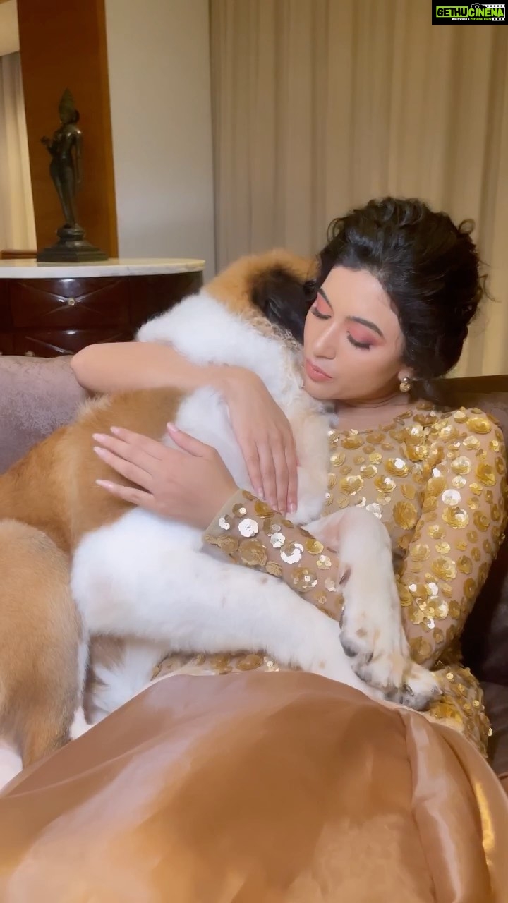 Anju Kurian Instagram - Squishy mood always! 😋 🐾 #stbernard #petlover #reeloftheday #puppylove