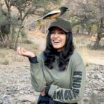 Anju Kurian Instagram - Honoured to have you land on my head! 😻❤️🐦 #truelove #magicalmoments #wildlife #wildbirds #lovemylife #anjukurianjourney #reeloftheday #ranthamborenationalpark #intothewild #naturelovers #birdsofindia #rajasthan #rufoustreepie