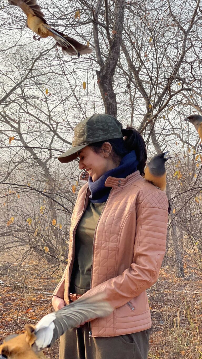 Anju Kurian Instagram - I always wonder why birds choose to stay in the same place when they can fly anywhere on earth, then I ask myself the same question 🙈🤔🙊. Magical moments with Rufous Treepie ❤️. . . Location - @ranthambhorepark . . #wildlife #ranthambore #rajasthan #naturelovers #truelove #anjukurian #instagood #littlethings #liveinthemoment #forest #junglesafari #rufoustreepie