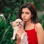 Anju Kurian Instagram - Love is in the air ❤️🐾 . I woof you 🐶❤️! #happyvalentinesday