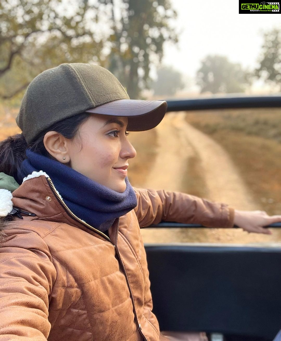 Anju Kurian Instagram - Call of the wild! . . . #anjukurian #anjutk10 #traveller #wildlife #wanderlust #traveladdict #naturelovers #roadtrip #gratefulheart #happyvibes #enjoylittlethingsinlife #liveinthemoment #2021 #traveldiaries #hakunamatata #xoxo Kanha National Park