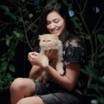 Anju Kurian Instagram - Any interesting captions? #catlover #petsofinstagram #pictureoftheday #meowmeow #littlethingsmatter #bundleofjoy #catstagram 📸- @abi_fine_shooters Kochi,Kerala