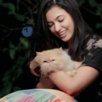 Anju Kurian Instagram - Any interesting captions? #catlover #petsofinstagram #pictureoftheday #meowmeow #littlethingsmatter #bundleofjoy #catstagram 📸- @abi_fine_shooters Kochi,Kerala