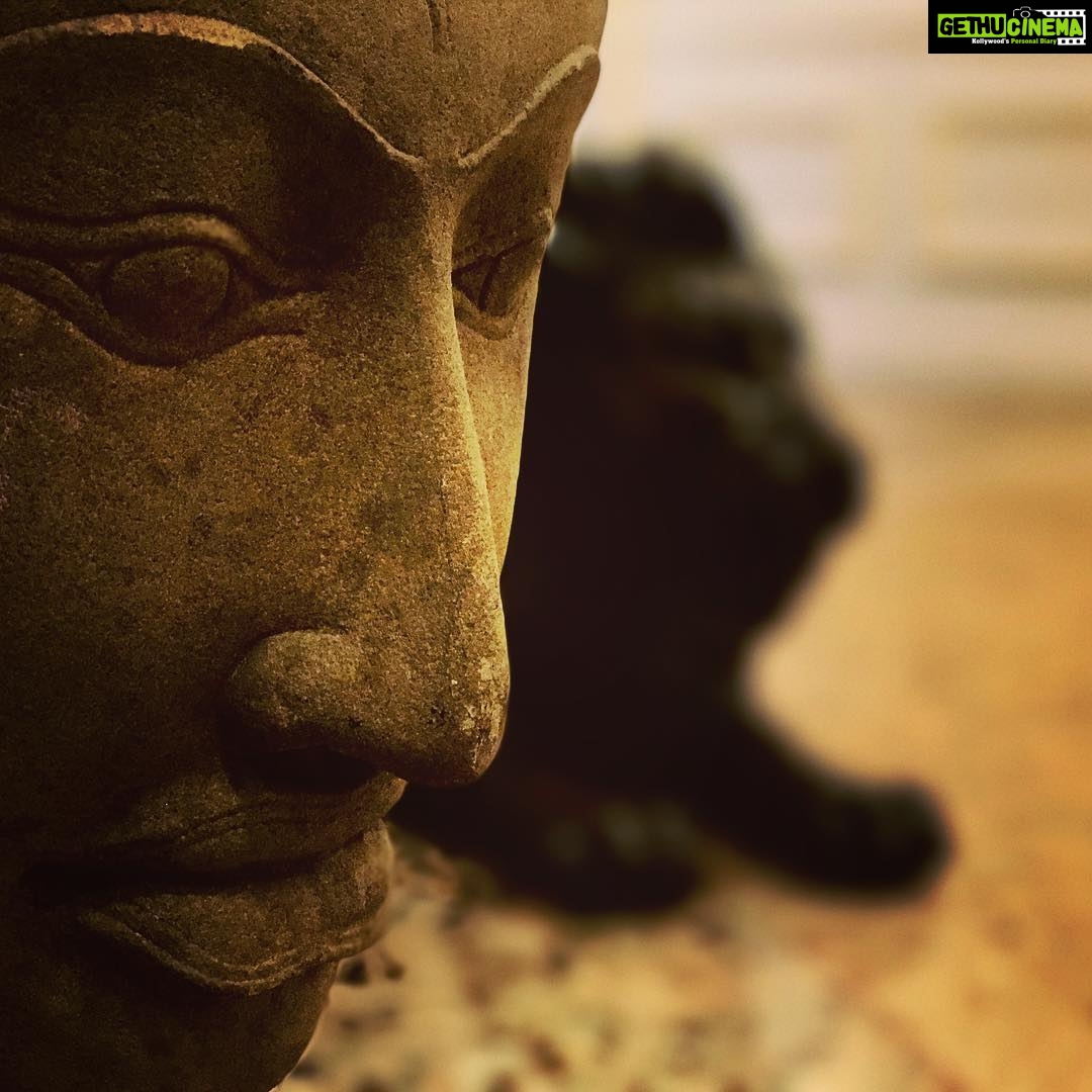 Anupama Parameswaran Instagram - That hidden Lion