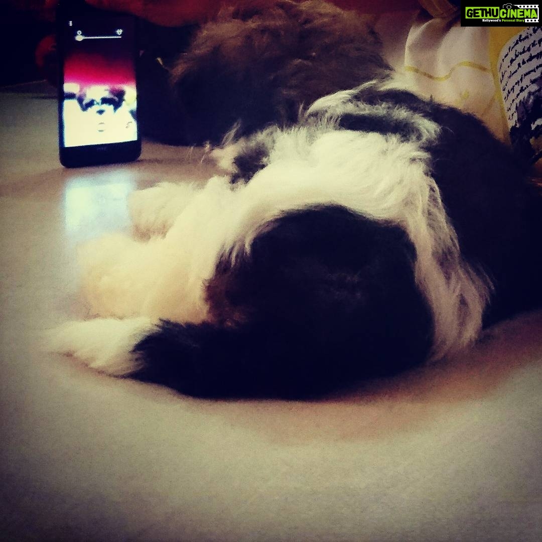 Anupama Parameswaran Instagram - Hussssshhhh!!!!!!!! He love selfie cams π πΆβ€π±