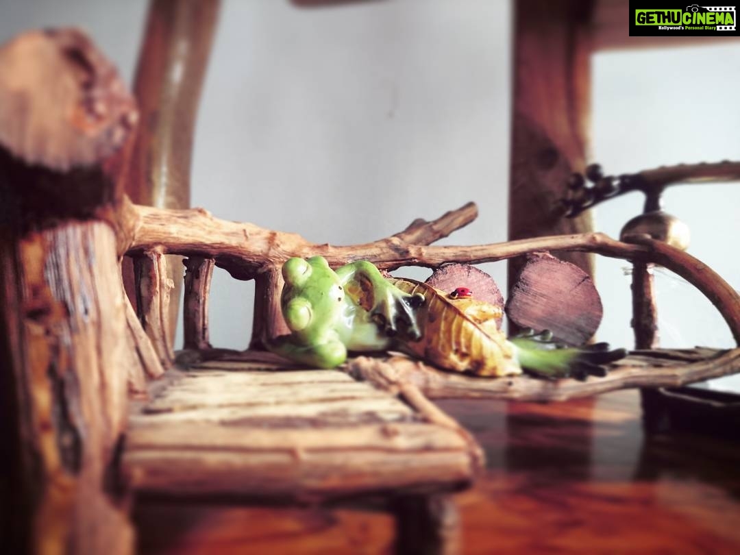 Anupama Parameswaran Instagram - I wish I wish I could sleep like this 🐸