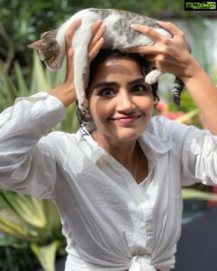 Anupama Parameswaran Instagram - One cat just leads to another 🙄