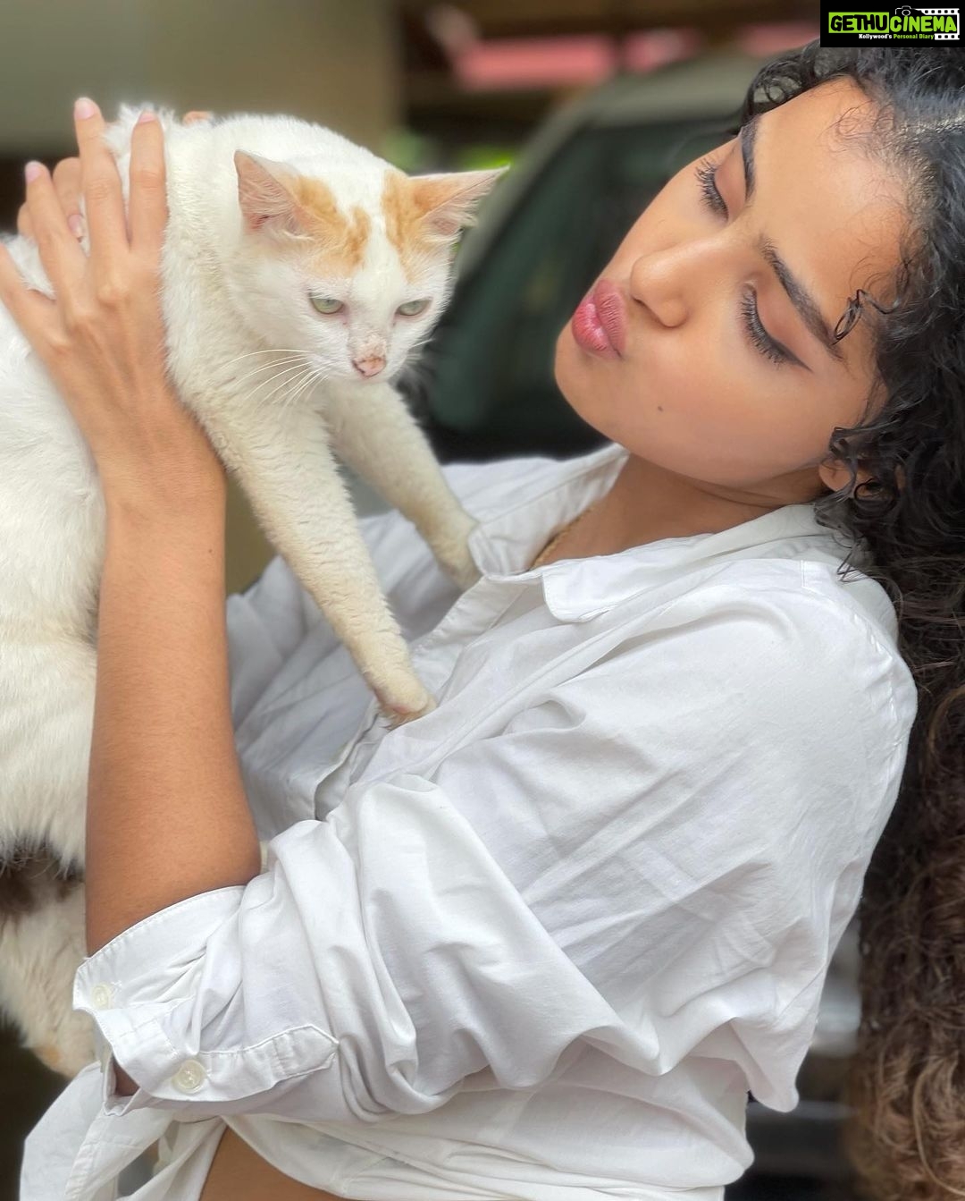 Anupama Parameswaran Instagram - One cat just leads to another 🙄