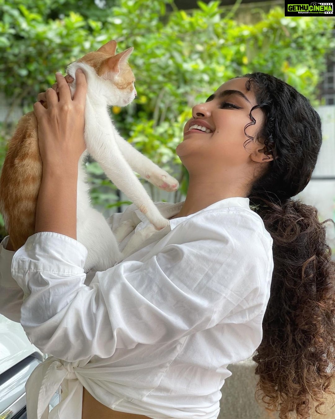 Anupama Parameswaran Instagram - One cat just leads to another 🙄