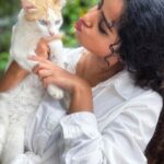 Anupama Parameswaran Instagram - One cat just leads to another 🙄
