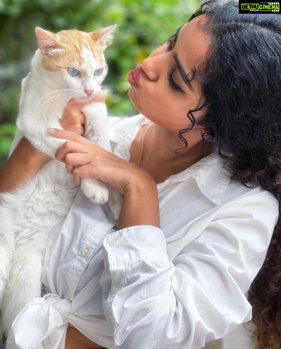 Anupama Parameswaran Instagram - One cat just leads to another 🙄
