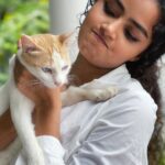 Anupama Parameswaran Instagram - One cat just leads to another 🙄