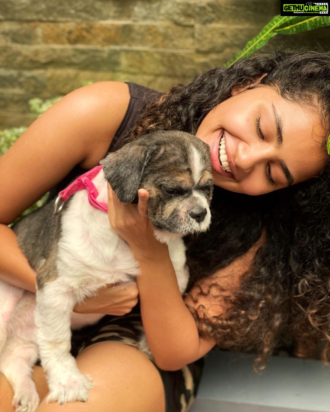 Anupama Parameswaran Instagram - And my whiskey baby turns 4 π₯³ π I know last year was very difficult to us.. losing two of you brothers,toddy and rum ... πA big shout out to you for surviving all that you went through and making our life truly fabulous! Happy birthday, whiskeyπβ₯οΈ we love you so much ... u are mine ... only mine ππππΆππ₯³ PS : he hates being photographed π¬π