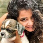 Anupama Parameswaran Instagram - And my whiskey baby turns 4 🥳 🎂 I know last year was very difficult to us.. losing two of you brothers,toddy and rum ... 💔A big shout out to you for surviving all that you went through and making our life truly fabulous! Happy birthday, whiskey😌♥️ we love you so much ... u are mine ... only mine 😭😘😍🐶🎂🥳 PS : he hates being photographed 😬😂