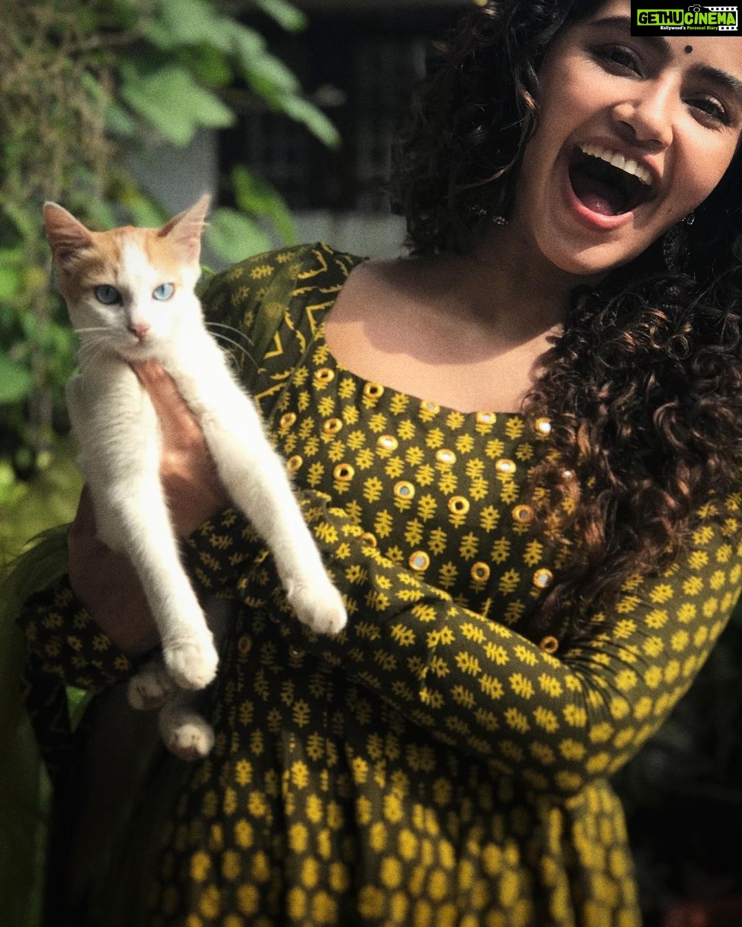 Anupama Parameswaran Instagram - Meow moments 🐱