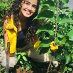 Anupama Parameswaran Instagram - Challenge accepted @kalyanipriyadarshan Thanks a lot my love 😘 Meet my new friend “Kalyani” ( due to obvious reasons 😘🥰😍) .. she is a Brazilian mulberry.... A few days back we planted around 25 saplings in our plot near by ... and sadly two of them dried... 😞 was feeling very upset and the here comes our #harahaitohbharahai #greenindiachallenge 🌳♥️ Was very happy when I was challenged but due to the restrictions ( yes we are in a containment zone ) 😞we have ryt now and the limited space in our home , could plant only one now ... I promise I will make it up soon... I further nominate @sobhitad @kalidas_jayaram @i_nivethathomas @ahaana_krishna @aishu__ @rajishavijayan @padmasoorya @pearlemaany @gourigkofficial @gauthami.nair @siju_wilson @anu_sithara @krisnasankar @pavithralakshmioffl @lakshmipriyavishak 😘♥️ and all my wonderful fans to take up this wonderful challenge... Plant 3 saplings and let’s continue this chain by tagging our loved ones ... ♥️ Let’s spread green , let’s spread love ...