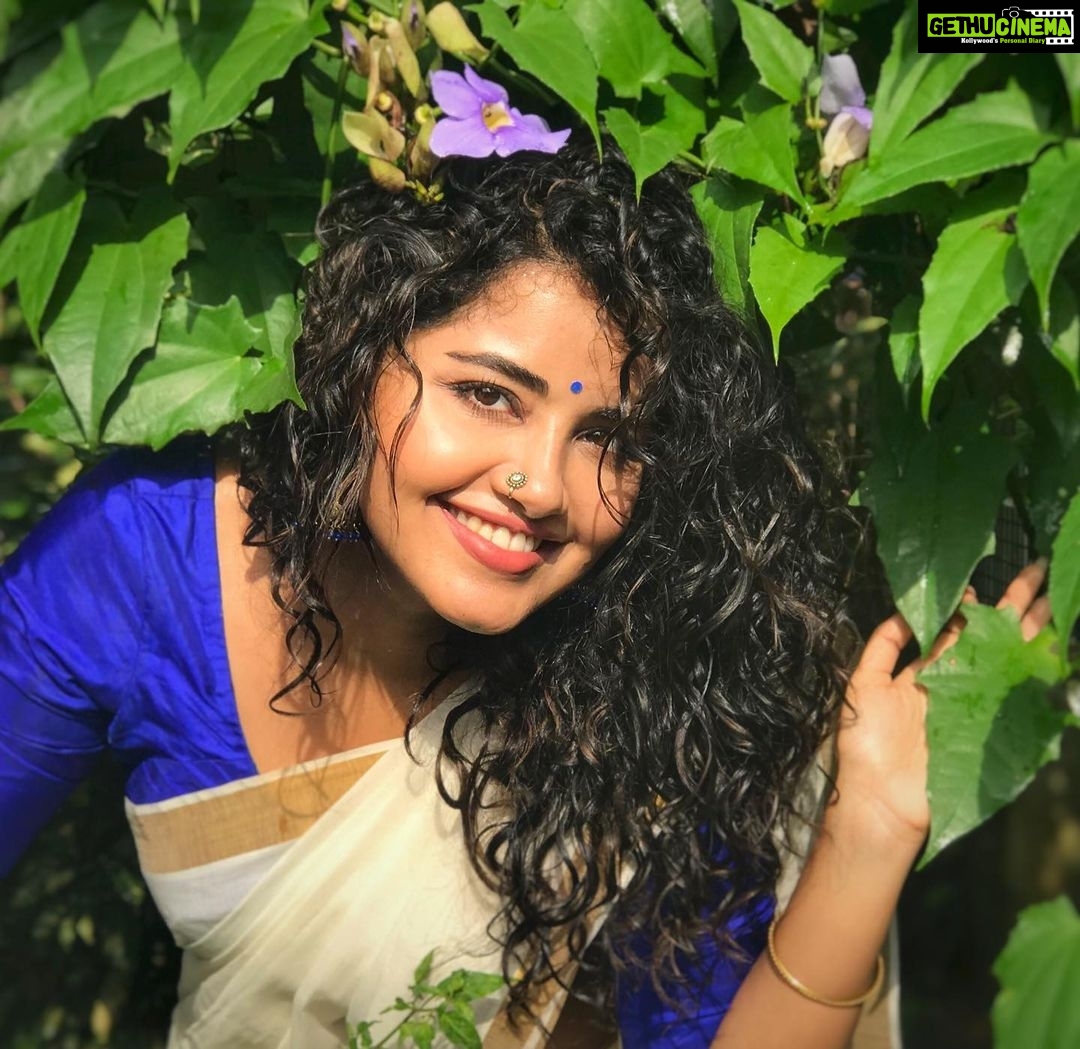 Anupama Parameswaran Instagram - Poove polipoove polipoove poove πΊπΈπΌπ»πΎπΏπ #Onam