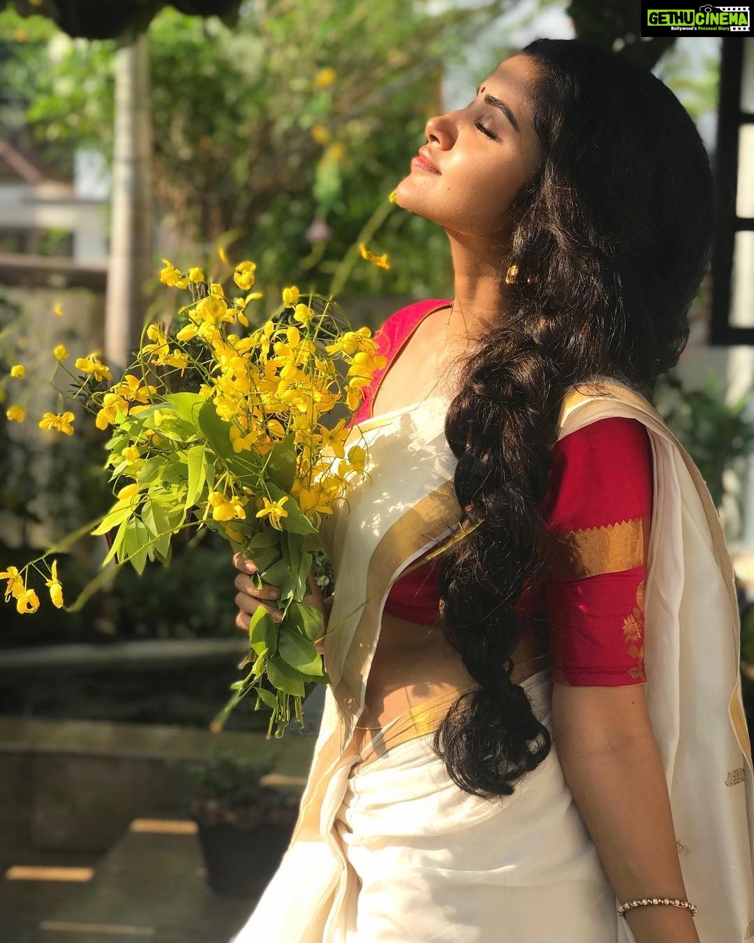 Anupama Parameswaran Instagram - 🌾#vishu