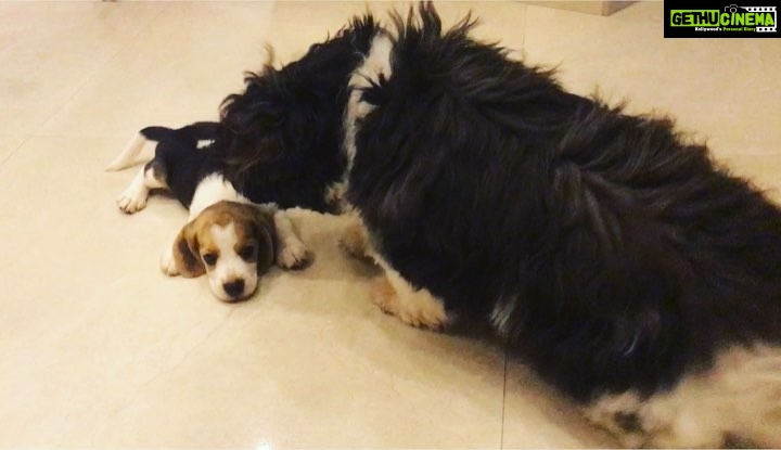 Anupama Parameswaran Instagram - And when they first met ♥️