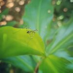 Archana Instagram – On eye towards the sky … and the other towards nature … may we always be surrounded with the bounty of nature’s abundance, fresh air (🙄🙄🙄🙈🙈🙈) & caring people around! 💗🤶💯🧿🇮🇳🤩🤗🙌🏼 #happynewyear #happy2021 #kerela Kerala spice garden kumily