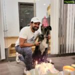 Arun Vijay Instagram - Celebrated #Rudhra 's 4th birthday yesterday!!❤🤗 #doglovers #aug26th #love #greatdane #pluto #avj #ArnavVijay #OhMyDog #unconditionallove PC: @aarathi_arun