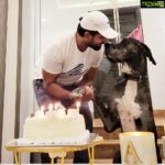 Arun Vijay Instagram – Celebrated #Rudhra ‘s 4th birthday yesterday!!❤🤗 #doglovers #aug26th #love #greatdane #pluto #avj #ArnavVijay #OhMyDog #unconditionallove 
PC: @aarathi_arun