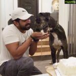 Arun Vijay Instagram - Celebrated #Rudhra 's 4th birthday yesterday!!❤🤗 #doglovers #aug26th #love #greatdane #pluto #avj #ArnavVijay #OhMyDog #unconditionallove PC: @aarathi_arun