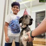 Arun Vijay Instagram - Celebrated #Rudhra 's 4th birthday yesterday!!❤🤗 #doglovers #aug26th #love #greatdane #pluto #avj #ArnavVijay #OhMyDog #unconditionallove PC: @aarathi_arun