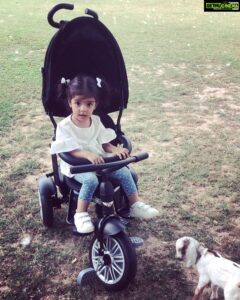 Asin Instagram - Li’l A with her little friends at home 🐐 #ArinsAdventures
