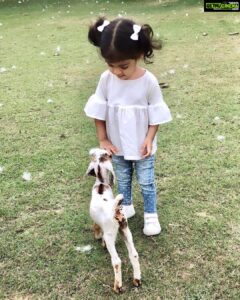 Asin Instagram - Li’l A with her little friends at home 🐐 #ArinsAdventures