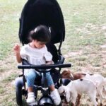 Asin Instagram – Li’l A with her little friends at home 🐐 #ArinsAdventures New Delhi